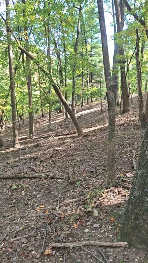 Vacant Land For Sale - 315 Windflower Drive<br/> Big Canoe, GA 30534