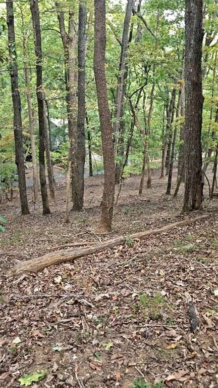 315 Windflower Drive