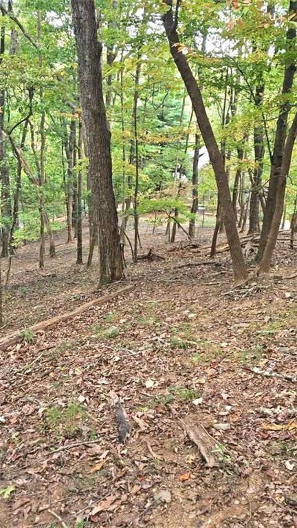 315 Windflower Drive