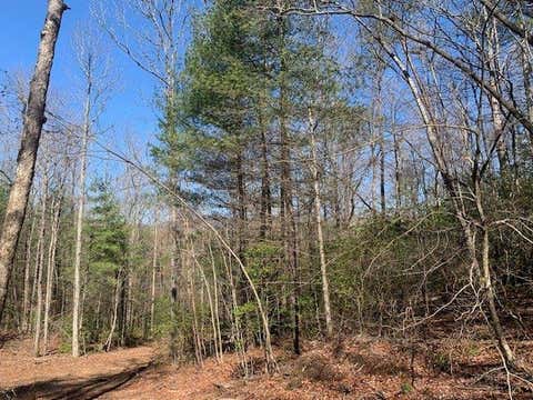 Vacant Land For Sale - East New Hope Road<br/> Ellijay, GA 30536