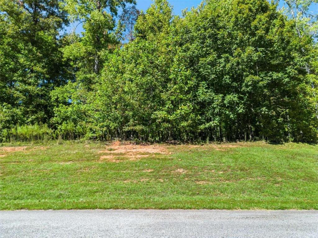 Laceola North Lot 170 Road, Cleveland, Georgia image 7