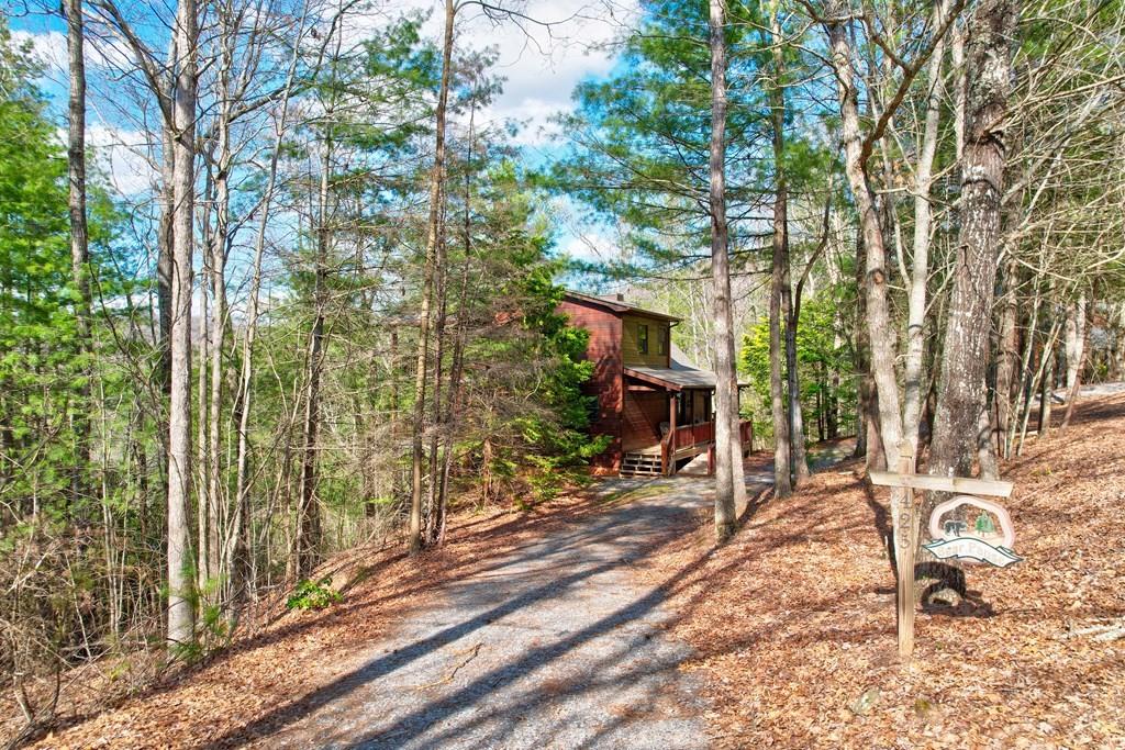 425 Rhonda Lane, Mineral Bluff, Georgia image 34