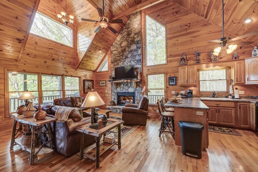 425 Rhonda Lane, Mineral Bluff, Georgia image 4