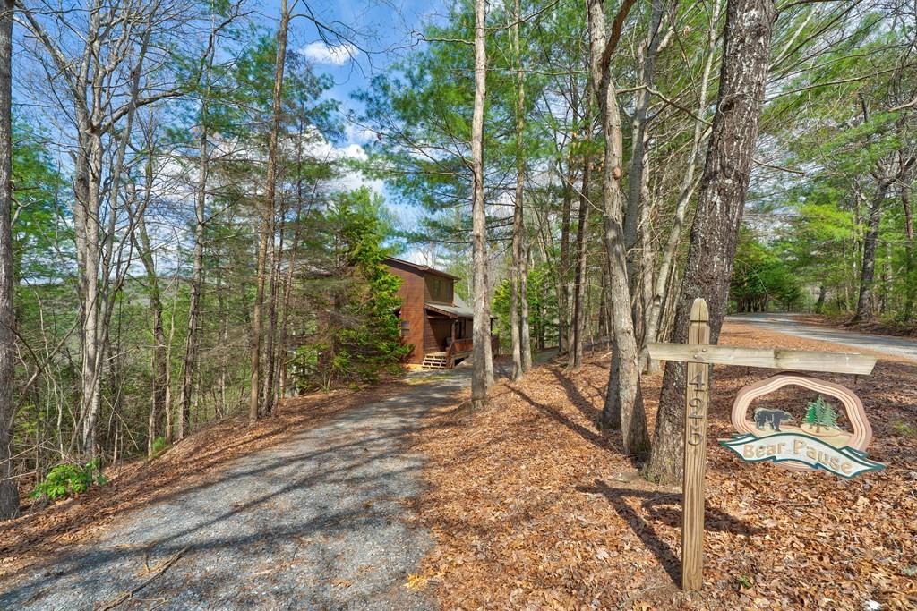 425 Rhonda Lane, Mineral Bluff, Georgia image 33