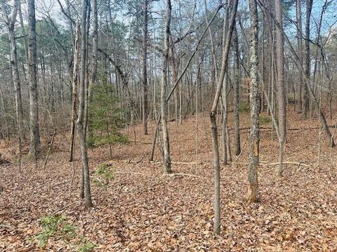 Vacant Land For Sale - LOT 28 Fern Park Drive<br/> Dawsonville, GA 30534