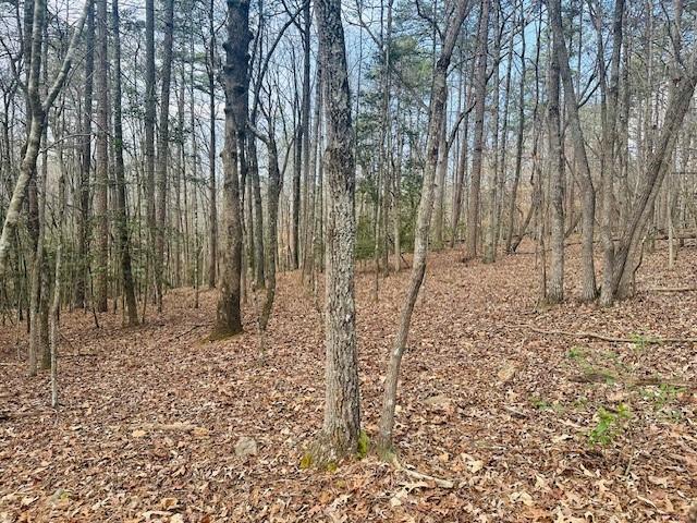 Lot 28 Fern Park Drive