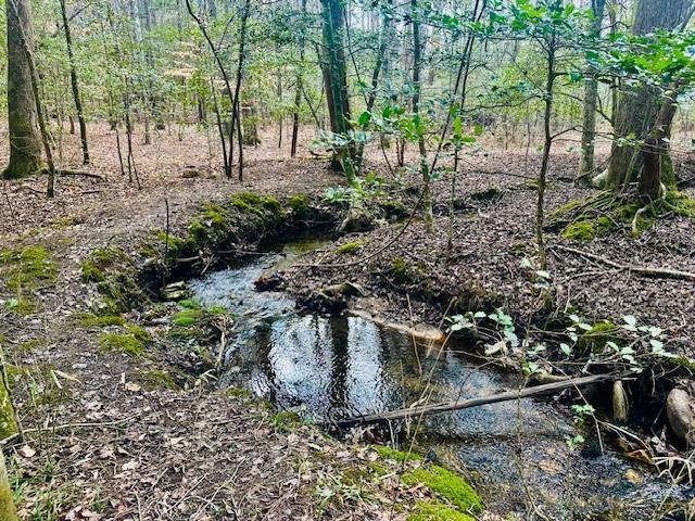 Lot 28 Fern Park Drive