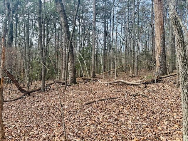 Lot 28 Fern Park Drive