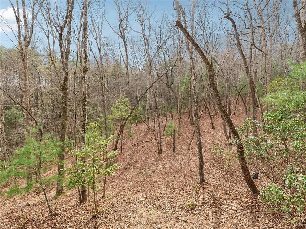 265 Wits End Way Way, Cherry Log, Georgia image 9