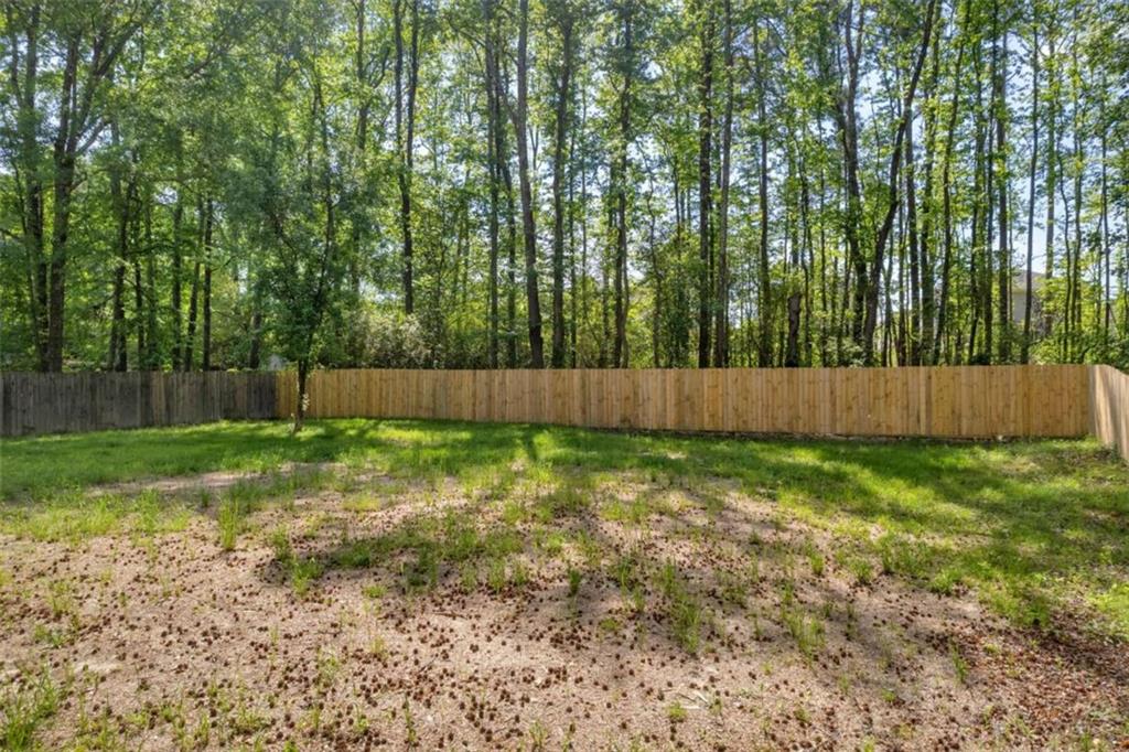 1660 Rose Garden Lane, Loganville, Georgia image 4