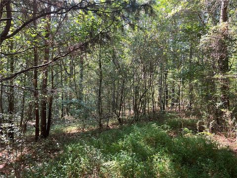 Vacant Land For Sale - 124 S Kelley Street<br/> Tallapoosa, GA 30176