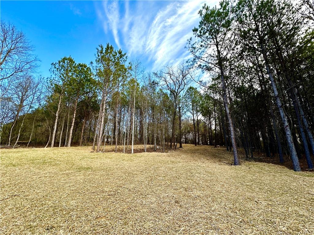 15 Stratford Way, Kingston, Georgia image 12