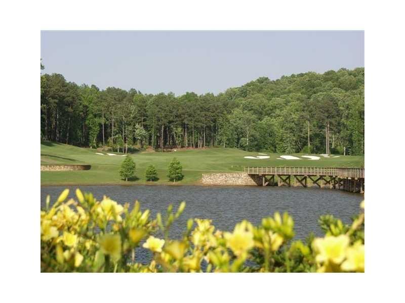 110 Hawks Club Drive, Ball Ground, Georgia image 1