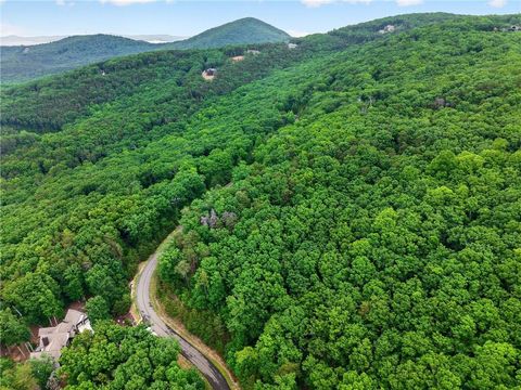 Vacant Land For Sale - Ridgeside Court<br/> Jasper, GA 30143