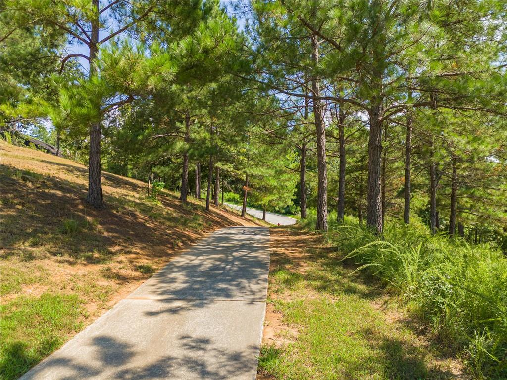 39 Lookout Point, Toccoa, Georgia image 9