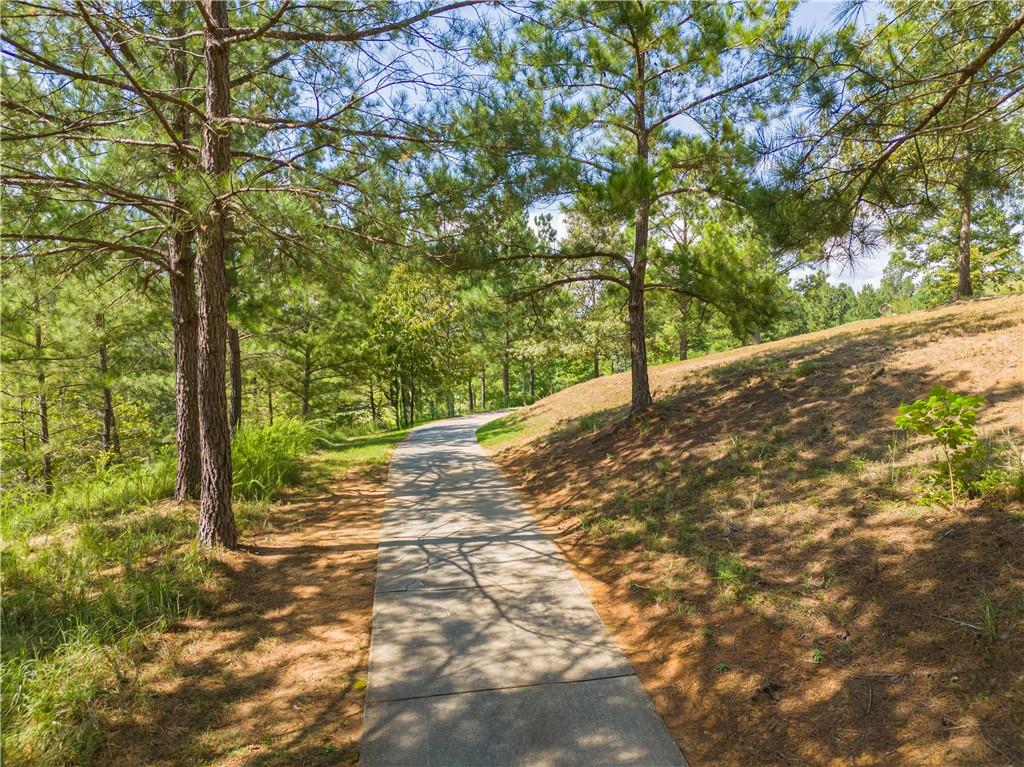 39 Lookout Point, Toccoa, Georgia image 10