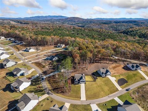 A home in Ellijay