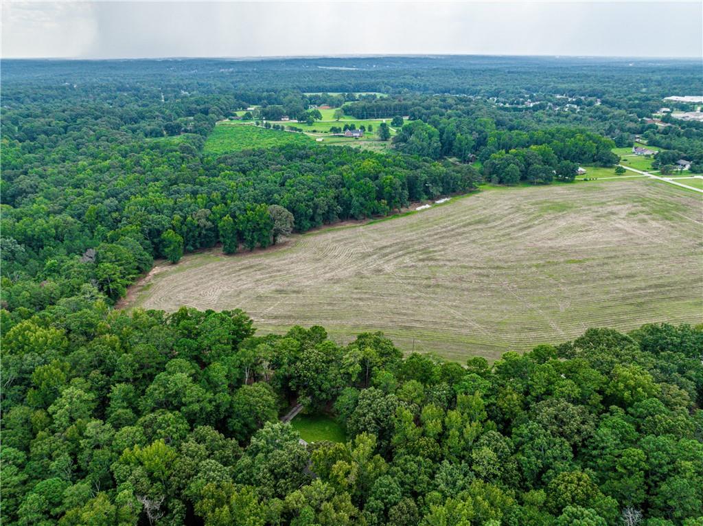 Lot 1 John Elliott Road, Mcdonough, Georgia image 10