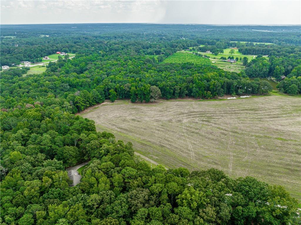 Lot 1 John Elliott Road, Mcdonough, Georgia image 11