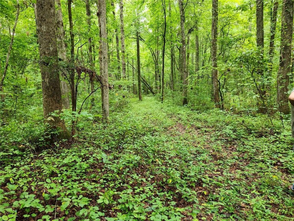 000 Davis Road Road
