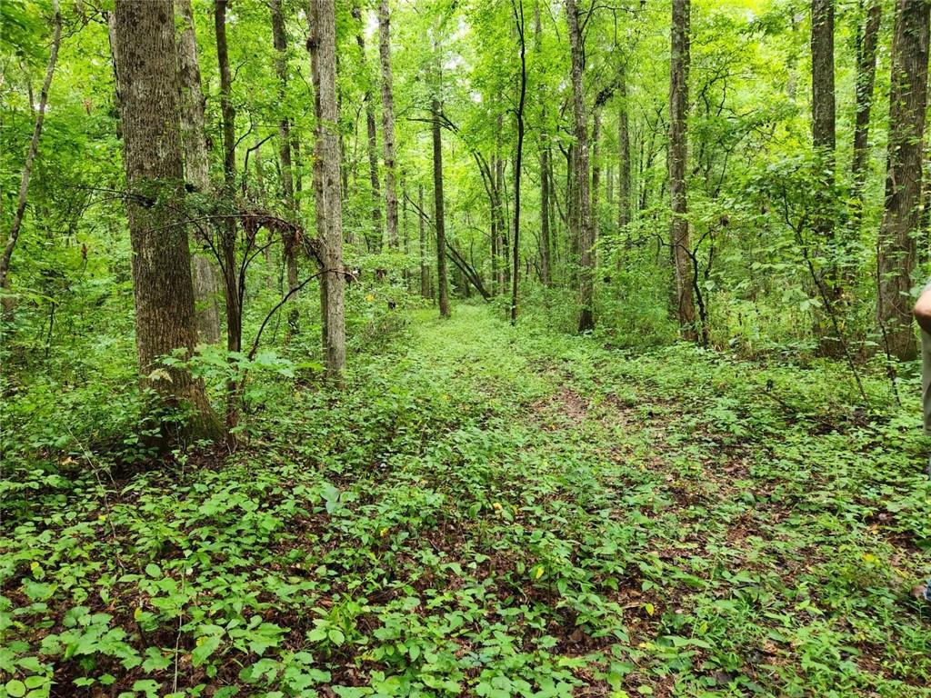 000 Davis Road Road