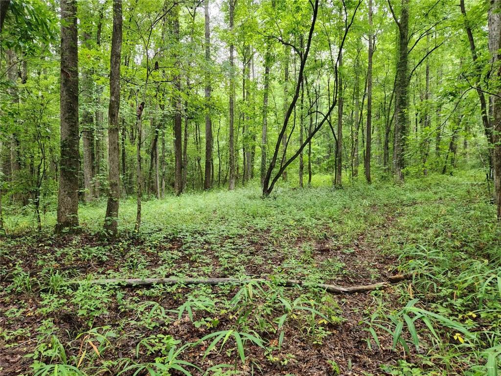 000 Davis Road Road