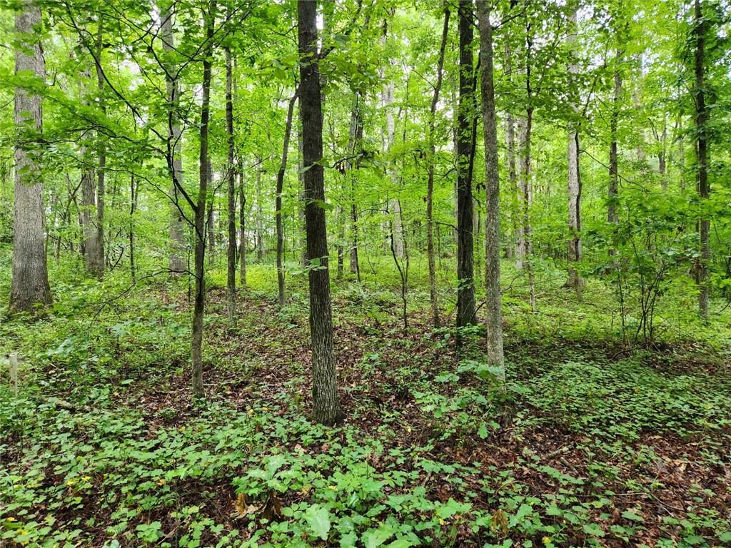 000 Davis Road Road