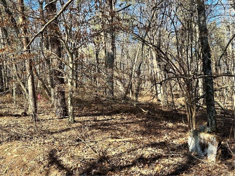 Featured picture for the property 7511054