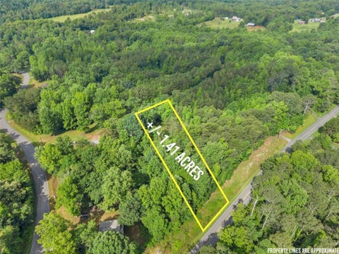 Vacant Land For Sale - Yellow Creek Road<br/> Hall County, Murrayville, GA 30564
