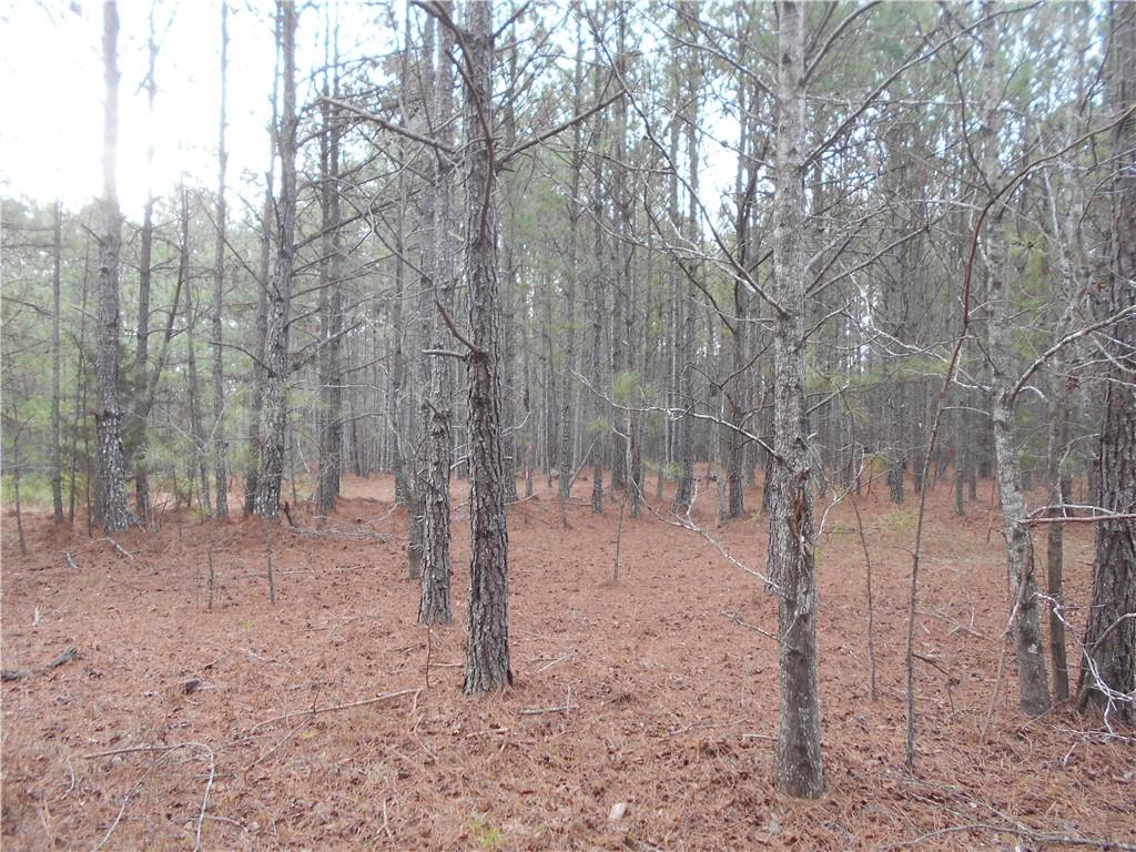 46 AC South Sharon Church Rd