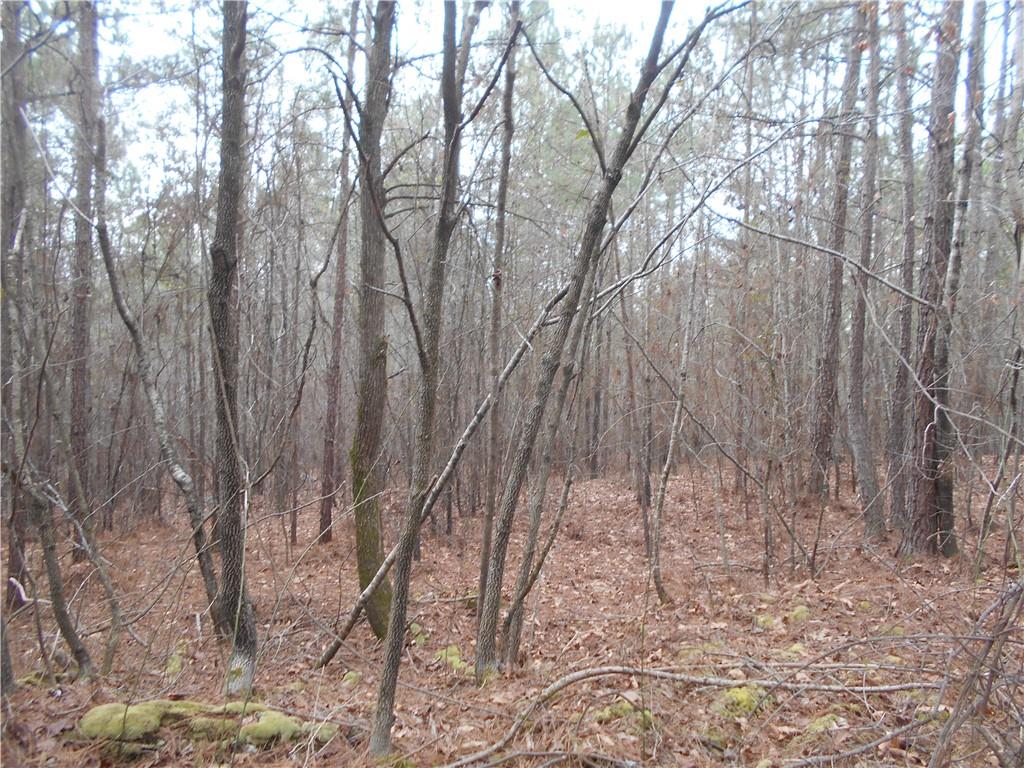46 AC South Sharon Church Rd