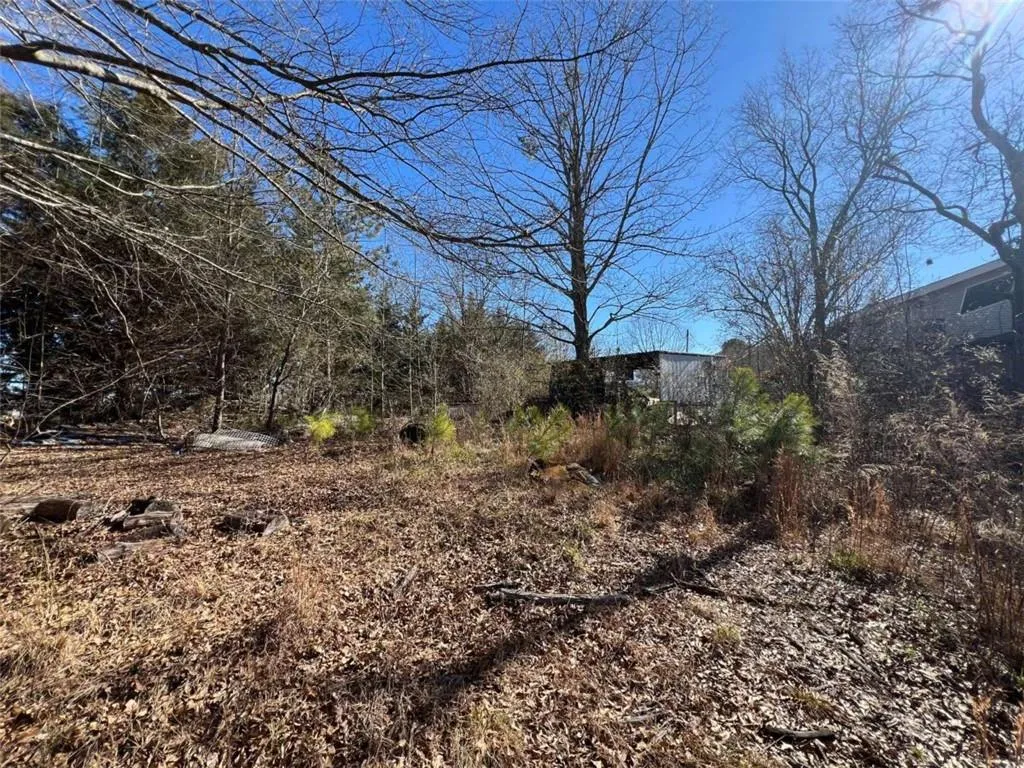 Flowery Branch, Georgia 30542, United States, 3 Bedrooms Bedrooms, ,2 BathroomsBathrooms,Residential,Active,96373