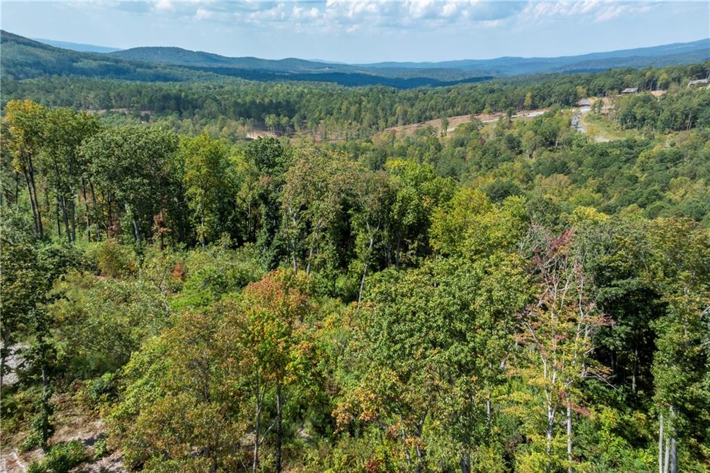 279 Highgrove Drive, Talking Rock, Georgia image 11