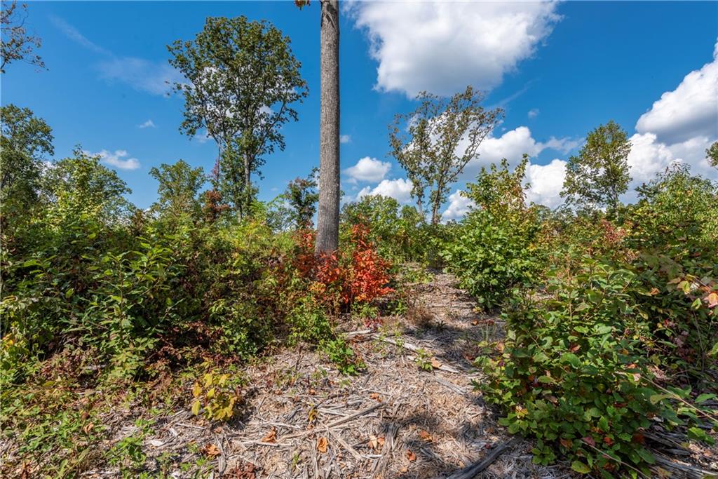 279 Highgrove Drive, Talking Rock, Georgia image 9