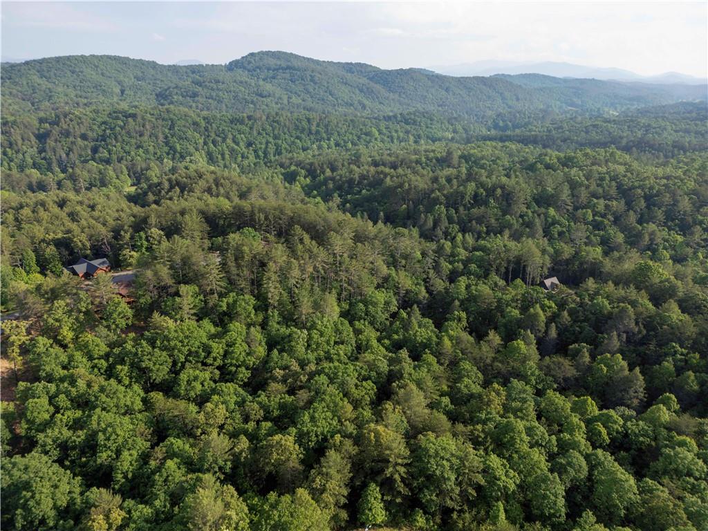 Red Bridge Lane, Mineral Bluff, Georgia image 4