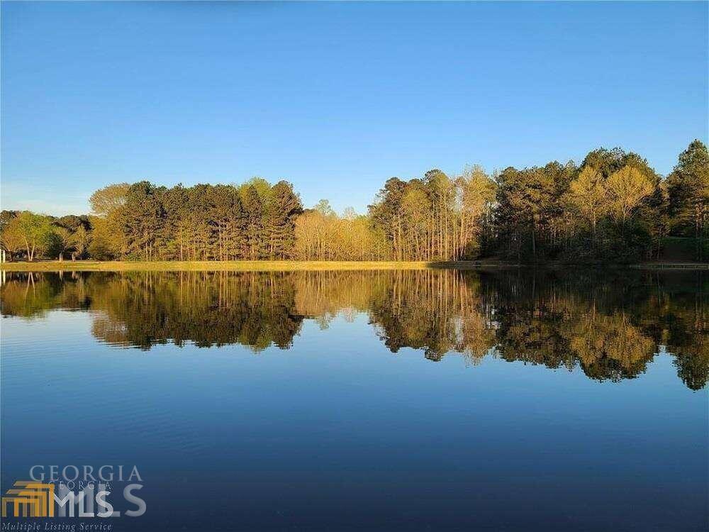 110 Serenity Place, Fayetteville, Georgia image 18
