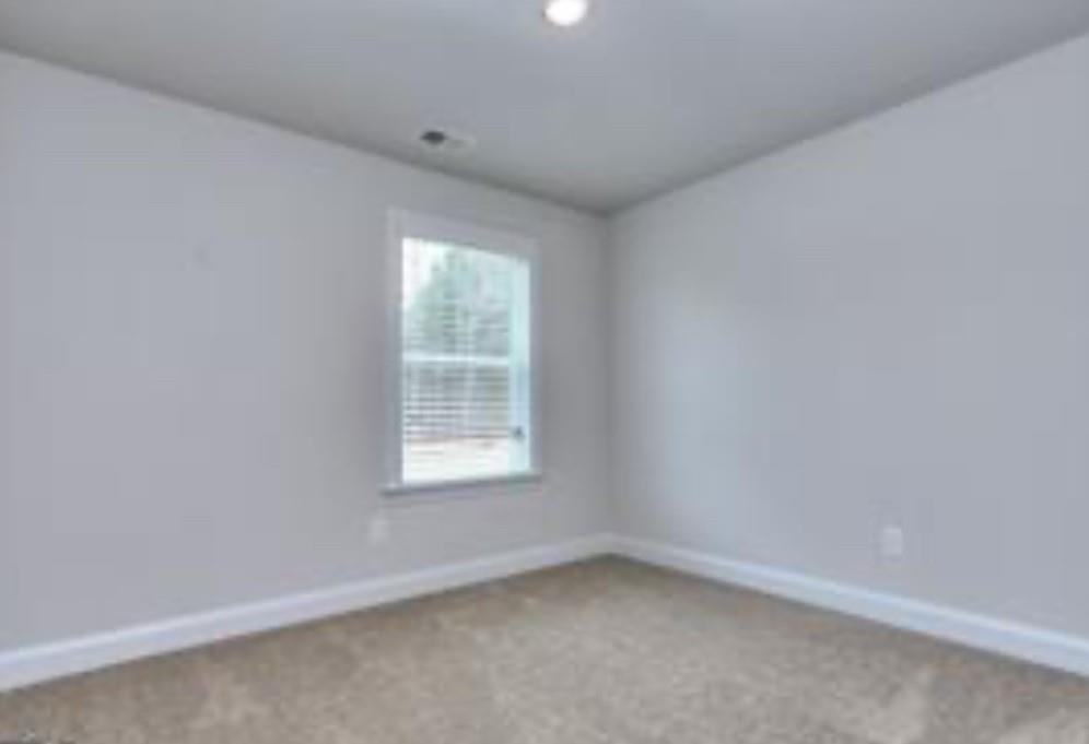 192 Chapman Ridge Lot 21 Road, Macon, Georgia image 11