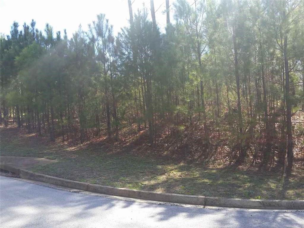 965 Lakeside Circle, Covington, Georgia image 2