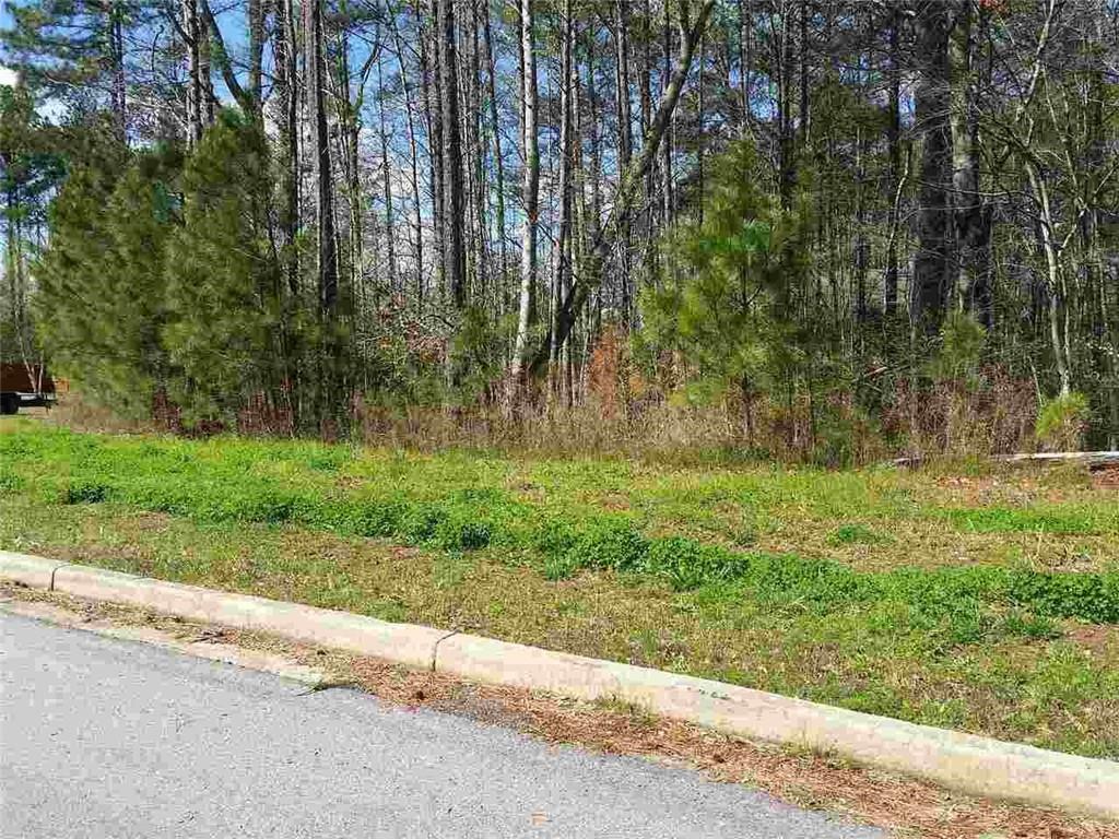 965 Lakeside Circle, Covington, Georgia image 8