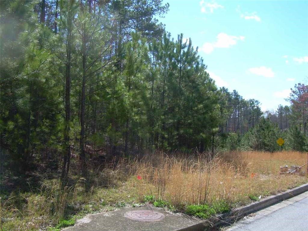 965 Lakeside Circle, Covington, Georgia image 10