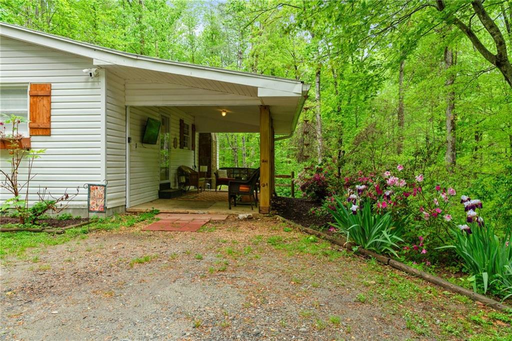115 Maple Leaf Drive, Dahlonega, Georgia image 2