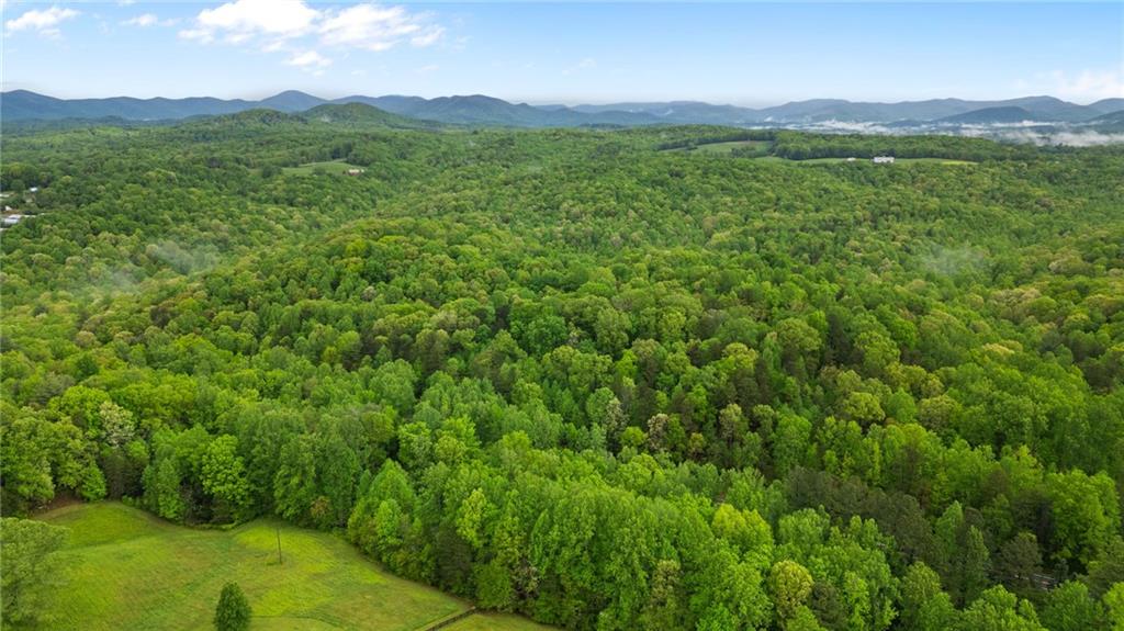 115 Maple Leaf Drive, Dahlonega, Georgia image 33