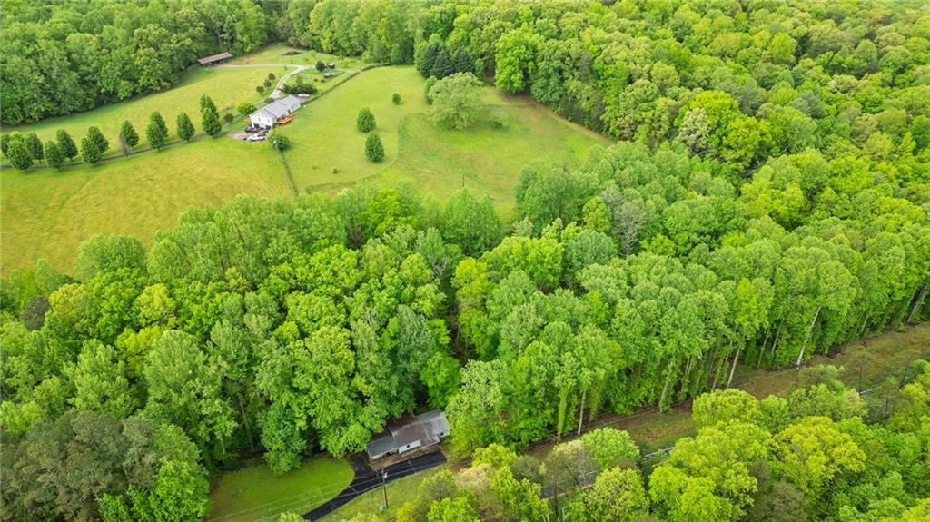 115 Maple Leaf Drive, Dahlonega, Georgia image 30