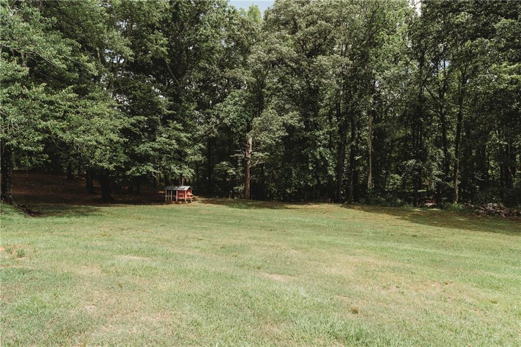 8394 Banks Mill Road, Douglasville, Georgia image 23