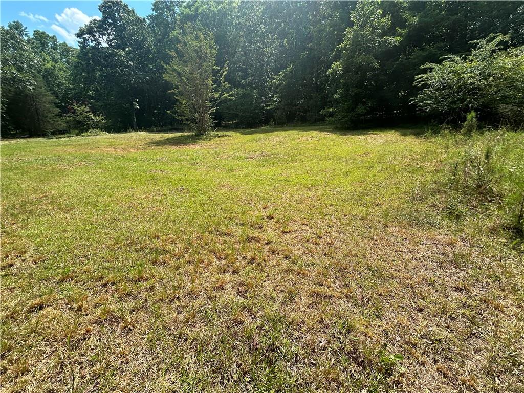 289 Brandy Lane, Newnan, Georgia image 3