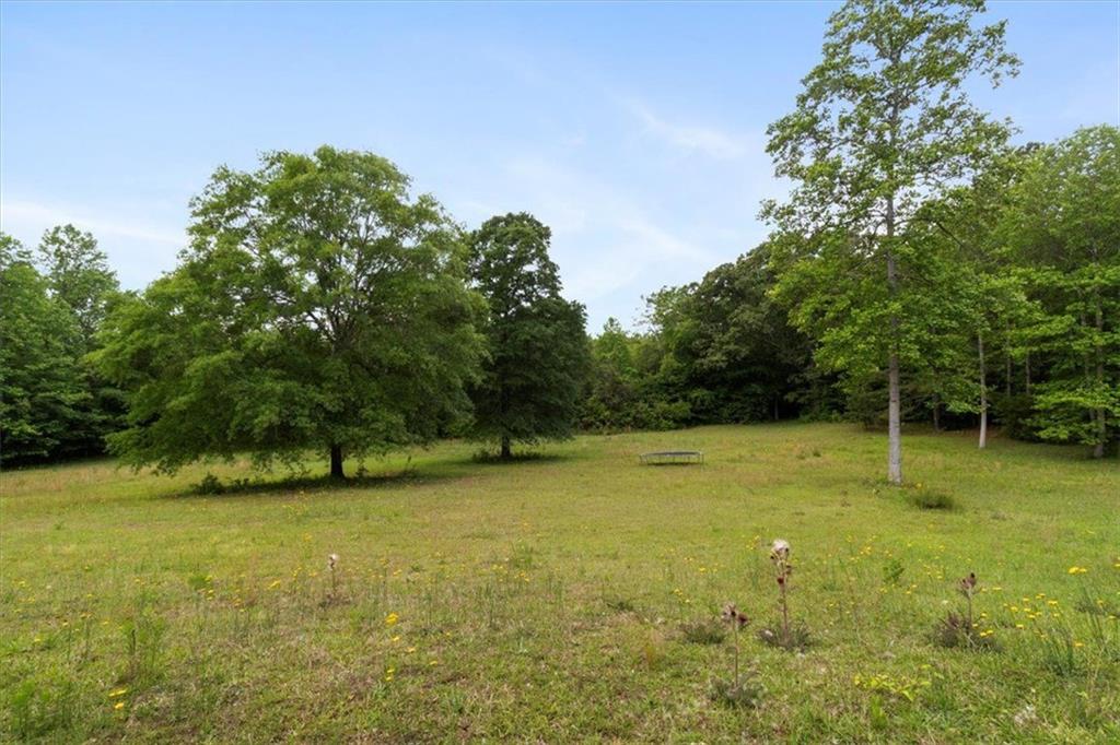 700 Gray Girls Road, Senoia, Georgia image 43