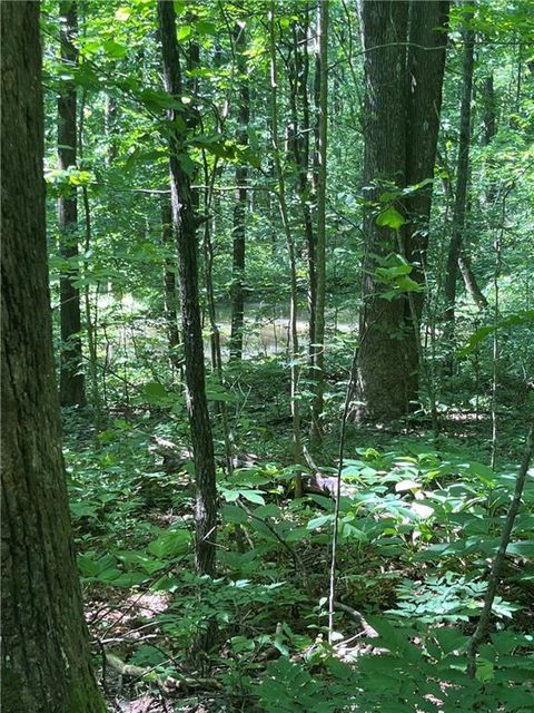 Vacant Land For Sale - Monument Road<br/> Pickens County, Jasper, GA 30143