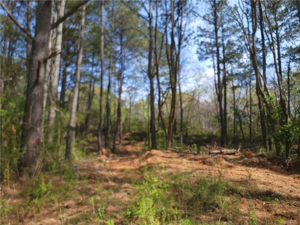 Calhoun Road, Rome, Georgia image 10