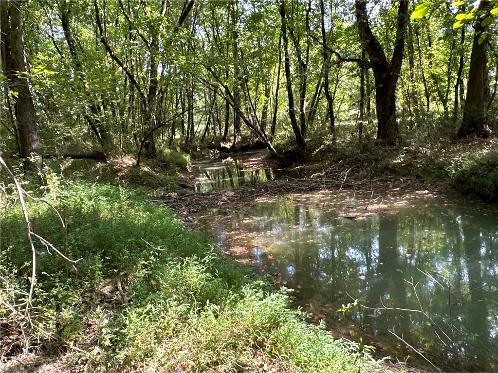 Jackson Road, Taylorsville, Georgia image 3