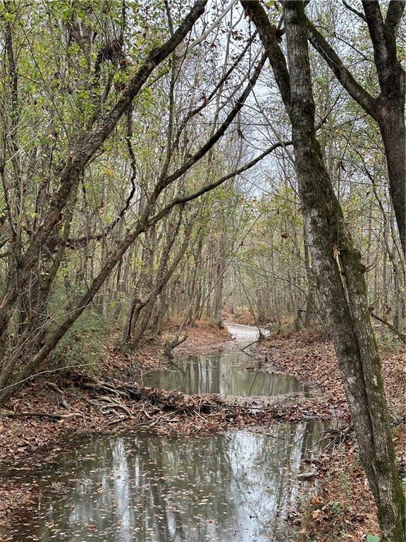 Jackson Road, Taylorsville, Georgia image 27